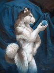  2018 black_fur black_nose blue_eyes breasts canine dog female fur husky mammal nude pose scale_(artist) snow_globe standing traditional_media_(artwork) white_fur 
