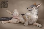  balls black_nose canine cosmiclife hi_res jackal looking_at_viewer male mammal paws penis pinup pose semi-anthro solo spread_legs spreading whiskers 