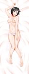  dakimakura kimmy77 tagme topless uncensored 