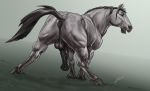  anatomically_correct anatomically_correct_genitalia anatomically_correct_penis animal_genitalia animal_penis anus balls butt draft_horse equine equine_penis erection feral flared_penis grey_skin horse laser_(artist) looking_at_viewer looking_back male mammal medial_ring muscular nude penis presenting presenting_anus presenting_hindquarters presenting_penis puffy_anus raised_tail solo vein 