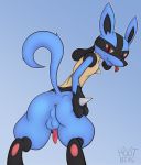  animal_genitalia animal_penis anus balls bedroom_eyes butt canine_penis digital_media_(artwork) erection fur half-closed_eyes hi_res hootbias knot line_art looking_at_viewer looking_back lucario male nintendo penis pok&eacute;mon pok&eacute;mon_(species) presenting presenting_hindquarters raised_tail seductive solo spreading standing tongue tongue_out video_games 