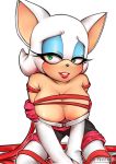  alpha_channel anthro bat breasts clothed clothing female hi_res mammal pikative rouge_the_bat simple_background solo sonic_(series) transparent_background 