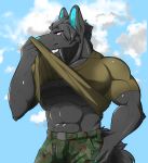 abs anthro biceps black_fur blue_nose camo canine clothed clothing clothing_lift fur hi_res male mammal muscular muscular_male oyabin1124 purple_eyes shirt shirt_lift solo standing sweat 