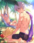  arms_behind_head back beach_chair blue_sky cloud commentary_request day eyebrows_visible_through_hair eyes_visible_through_hair fate/grand_order fate_(series) father_and_son flower galahad_(fate) glasses grand_dobu hair_over_one_eye highres korean_commentary lancelot_(fate/grand_order) looking_at_viewer looking_back male_focus male_swimwear mini_flag multiple_boys palm_tree purple_hair sand sand_castle sand_sculpture scar silver_hair sky solo_focus swim_trunks swimsuit swimwear tree tree_shade yellow_eyes 