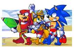  3rdharleyjoe anthro barefoot beach canine clothing echidna fox group hedgehog hi_res knuckles_the_echidna male mammal miles_prower monotreme sand seaside sonic_(series) sonic_the_hedgehog teeth toes video_games 