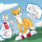  balls blush canine confused fox grass japanese_text male mammal miles_prower penis sega sheath solo sonic_(series) sonic_team tails text translation_request unknown_artist 