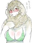  anthro bra breasts brown_eyes canine cleavage clothed clothing digital_media_(artwork) female fluffy fur hi_res japanese_text looking_at_viewer mammal multicolored_fur nipple_bulge simple_background smile solo tan_fur text toco_(artist) translation_request two_tone_fur underwear white_background white_fur 
