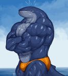  abs anthro big_muscles blue_skin cetacean clothing grin huge_muscles male mammal marine muscular muscular_male pecs plain_white smile solo swimsuit vein whale 