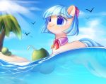  2018 avian beach beverage bird blue_eyes blue_hair cloud coco_pommel_(mlp) coconut earth_pony equine eyebrows eyelashes female feral flower flower_in_hair food friendship_is_magic fruit hair hi_res hooves horse leafywind leaves mammal my_little_pony nude outside palm_tree partially_submerged plant pony portrait sand sea seaside short_hair sky smile solo star star_eyes straw sun sunlight swimming tree water 