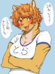  anthro breasts canine cleavage clothed clothing crossed_arms dialogue digital_media_(artwork) fangs feline female fur hair japanese_text long_hair looking_at_viewer mammal markings multicolored_fur open_mouth orange_fur orange_hair red_eyes shirt simple_background smile solo teeth text tiger toco_(artist) tongue translation_request 