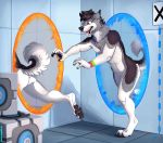  canine cute dog hair humor malamute male mammal orange_eyes portal_(series) tazara thinking_with_portals tongue tongue_out valve video_games 