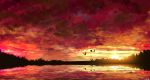  bird cloud cloudy_sky commentary_request evening highres lake no_humans original outdoors overcast red_sky reflection scenery signature silhouette sky sunset 