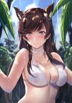  a-na animal_ear_fluff animal_ears atago_(azur_lane) azur_lane blue_sky blush breasts brown_eyes brown_hair choker closed_mouth cloud collarbone commentary_request day highres long_hair looking_at_viewer medium_breasts nature outdoors rain see-through sky smile solo upper_body wet 