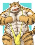  2016 barazoku blush bulge clothing erection facing_viewer feline kemono kotobuki looking_at_penis male mammal muscular obese overweight penis penis_outline portrait simple_background solo speedo standing sweat swimsuit three-quarter_portrait tiger 