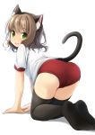  :d all_fours animal_ear_fluff animal_ears ass black_legwear brown_hair buruma cat_ears cat_tail commentary_request fang from_behind green_eyes gym_uniform highres looking_at_viewer looking_back medium_hair no_shoes open_mouth original panties panties_under_buruma panty_peek red_buruma shibacha shirt smile solo tail thighhighs underwear white_panties white_shirt 