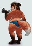  2018 anthro beard belly big_butt brown_fur brown_hair butt canine chubby-shark exercise eyewear facial_hair fluffy fluffy_tail fox fur glasses hair long_hair looking_back male mammal musclegut orange_fur overweight rear_view simple_background weightlifting white_fur workout 