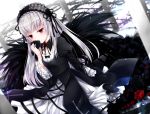  doll dress flowers goth-loli gray_hair headdress lolita_fashion long_hair omoomomo red_eyes rose rozen_maiden signed suigintou 