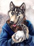  5_fingers anthro black_nose canine claws clothed clothing dog fangs kenket mammal snow snowball solo tongue tongue_out 