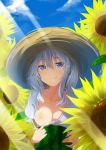  blue_eyes blue_sky blush breasts closed_mouth cloud commentary day dress eyebrows_visible_through_hair flower food fruit grey_hair hair_between_eyes hat highres inushi kantai_collection kashima_(kantai_collection) long_hair looking_at_viewer medium_breasts nipples one_breast_out outdoors sky smile solo straw_hat sunflower sunlight watermelon 