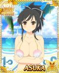  asuka_(senran_kagura) bikini_top black_hair breasts brown_eyes card_(medium) character_name cleavage cloud crossed_arms day hair_ribbon large_breasts looking_at_viewer ocean official_art palm_leaf ponytail rainbow ribbon senran_kagura senran_kagura_new_wave shell shell_bikini short_ponytail sky solo trading_card water white_ribbon yaegashi_nan 