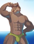  abs brown_nose bulge canine clothing eyewear green_eyes hands_on_hip looking_down male mammal muscular navel shiuk solo speedo standing sunglasses swimsuit wolf 