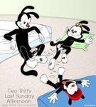  animaniacs dot_warner stefanescu wakko_warner yakko_warner 