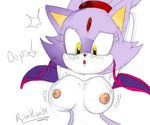  blaze_the_cat sonic_team tagme 