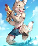  4_toes anthro black_nose blush brown_eyes brown_fur bulge canine clothing coyote cub cute_teeth fur male mammal navel pawpads shorts sky solo swim_shorts teeth toes unrealplace water water_gun wet young 