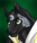  2010 amocin anthro canine close-up digital_media_(artwork) fox fur green_eyes male mammal markings portrait silent_strider_(amocin) 