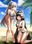  animal_ear_fluff animal_ears arms_under_breasts beach bikini black_bikini black_hair blue_bikini blush breast_hold breasts collarbone commentary_request crossed_arms day dragon_horns fate/grand_order fate_(series) flower fox_ears glasses hair_bobbles hair_flower hair_ornament hairband hand_on_own_cheek hand_on_own_knee highres horns kiyohime_(fate/grand_order) kiyohime_(swimsuit_lancer)_(fate) kneeling lady_foxy leaning_forward long_hair looking_at_viewer low_twintails magatama_necklace multiple_girls ocean open_mouth osakabe-hime_(fate/grand_order) palm_tree ponytail rectangular_eyewear red-framed_eyewear red_eyes rukinya_(nyanko_mogumogu) sandals shadow side-tie_bikini silver_hair swimsuit tree twintails very_long_hair wavy_mouth 