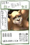  2018 anthro bear brown_fur eyewear fur glasses japanese_text male mammal moobs morkovjpn overweight overweight_male solo text tokyo_afterschool_summoners 