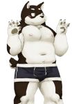  2018 anthro blush boxer_briefs canine claws clothing digital_media_(artwork) dog fur half-closed_eyes male mammal meg_hoi navel nipples pawpads simple_background slightly_chubby solo standing underwear white_background 