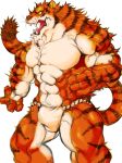  2017 abs anthro biceps big_muscles black_fur bulge clothing fangs feline fist fundoshi fur gunso0127 gunso_p hi_res japanese_clothing loincloth looking_away male mammal muscular muscular_male navel open_mouth orange_fur pecs simple_background solo standing stripes tiger tongue underwear whiskers white_background white_fur yellow_sclera 