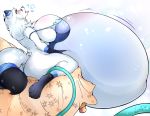  2018 anthro arctic_fox bed belly belly_grab big_belly big_breasts big_butt blush breasts bulging_breasts butt canid canine clothing female fox fur hi_res hose huge_breasts hyper hyper_belly inflation leonkatlovre lingerie looking_pleasured mammal solo thick_thighs tongue tongue_out water_inflation white_fur 