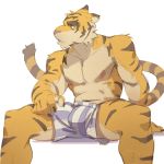  abs anthro biceps clothing feline fur hi_res male mammal morenatsu muscular muscular_male nipples nyuudles pecs stripes tiger torahiko_(morenatsu) 