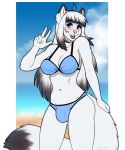  alpha_channel anthro beach bikini blush breasts bulge canine clothed clothing dickgirl intersex looking_at_viewer mammal outside porin seaside smile solo standing swimsuit v_sign 