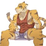  1:1 2018 5_fingers anthro biceps biped blue_eyes boxers_(clothing) claws clothing eyebrows felid fingers fur hi_res male mammal morenatsu muscular muscular_anthro muscular_male nipples nyuudles pantherine pecs pink_nose shirt simple_background sitting solo stripes tank_top thick_eyebrows tiger topwear torahiko_(morenatsu) underwear white_background 