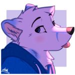  arctic_fox black_nose blep blue_eyes blue_fur blush canine clothing fox fur headshot_portrait hoodie leto_(letodoesart) letodoesart male mammal portrait solo tongue tongue_out white_fur 