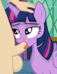  2018 balls bestiality blush duo equine feathered_wings feathers fellatio female feral friendship_is_magic hair hi_res horn human human_on_feral inside interspecies looking_up male male/female mammal my_little_pony oral saliva sex shutterflyeqd tongue tongue_out twilight_sparkle_(mlp) unicorn_horn winged_unicorn wings 