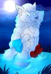  absurd_res animal_genitalia animal_penis anthro blue_eyes blue_nose blue_theme canine canine_penis diphallism erection fur hi_res knot male mammal multi_penis muscular muscular_male nezerbe nude partially_submerged penis solo unknown_artist water white_fur 