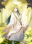  androgynous bangs barefoot blurry blurry_foreground chihuri closed_mouth commentary_request dappled_sunlight day depth_of_field enkidu_(fate/strange_fake) eyebrows_visible_through_hair fate/strange_fake fate_(series) field flower flower_field forest green_eyes green_hair hair_between_eyes hand_up highres long_hair long_sleeves looking_at_viewer nature outdoors robe smile solo standing sunlight very_long_hair white_robe wide_sleeves yellow_flower 