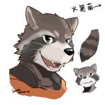  2014 anthro black_nose chang52084 chinese_text fangs fur guardians_of_the_galaxy male mammal marvel open_mouth procyonid raccoon rocket_raccoon simple_background smile solo text tongue whiskers white_background 