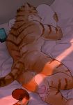  4_toes after_sex anthro bed butt cellphone chang52084 claws cum cum_on_butt feline fur lying male mammal on_bed pawpads paws phone sleeping solo striped_fur striped_tail stripes tiger toe_claws toes 