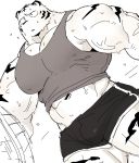  2018 anthro biceps bulge clothing digital_media_(artwork) feline fur kemono male mammal muscular muscular_male shirt shorts syukapong tank_top tiger white_tiger 