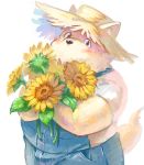  2016 blush canine clothed clothing digital_media_(artwork) digital_painting_(artwork) diru11 dog flower fully_clothed hat holding_flower holding_object looking_at_viewer male mammal overalls overweight overweight_male plant shirt simple_background solo standing straw_hat t-shirt white_background 