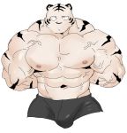  2018 abs anthro biceps bulge clothing digital_media_(artwork) feline fur kemono male mammal muscular muscular_male nipples pecs shorts syukapong tiger white_tiger 