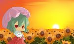  ascot bad_id bad_pixiv_id chibi eiri_(eirri) flower green_hair highres kazami_yuuka nature outdoors parasol plaid plaid_skirt plaid_vest red_eyes short_hair skirt skirt_set solo sunflower sunset touhou umbrella unmoving_pattern vest 