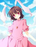  animal_ears bad_id bad_pixiv_id brown_hair bunny_ears carrot carrot_necklace cloud day dress head_tilt inaba_tewi jewelry kisaragi_kiriha necklace pendant pink_dress pink_eyes short_hair short_sleeves sky smile solo touhou 