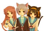  animal_ears asahina_mikuru bad_id bad_pixiv_id brown_eyes brown_hair cat_ears dog_ears grey_hair hair_ribbon hairband kemonomimi_mode kita_high_school_uniform long_hair moffunnyo multiple_girls nagato_yuki orange_hairband ribbon school_uniform serafuku short_hair suzumiya_haruhi suzumiya_haruhi_no_yuuutsu 