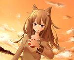  animal_ears apple brown_hair food fruit holding holding_food holding_fruit holo konasu long_hair red_eyes smile solo spice_and_wolf sunset wolf_ears 